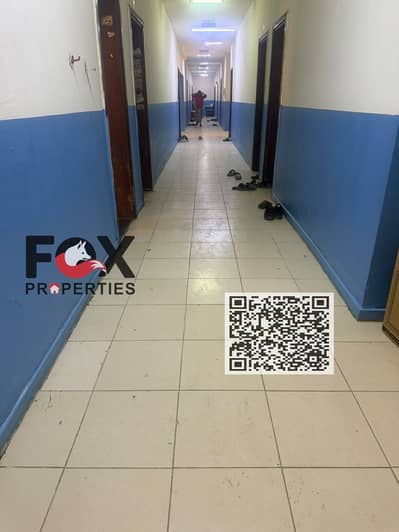 Labour Camp para en Alquiler en Industrial Area, Sharjah - WhatsApp Image 2026-09-22 at 12.57. 43 PM (2). jpeg. png