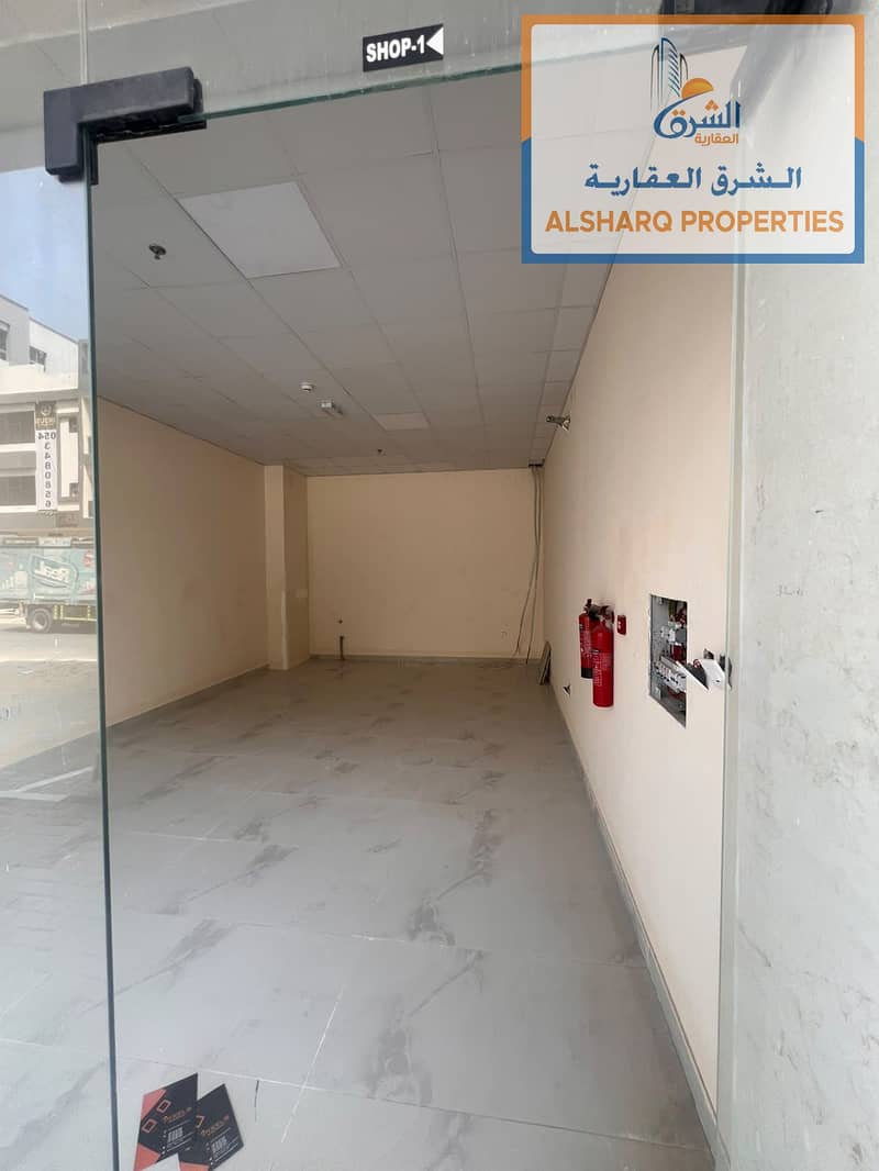 3 WhatsApp Image 2026-09-22 at 18.02. 26 (1). jpeg