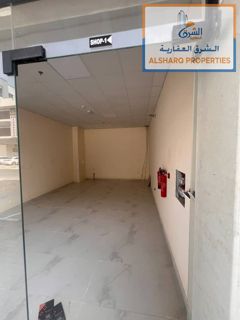 4 WhatsApp Image 2026-09-22 at 18.02. 26 (2). jpeg