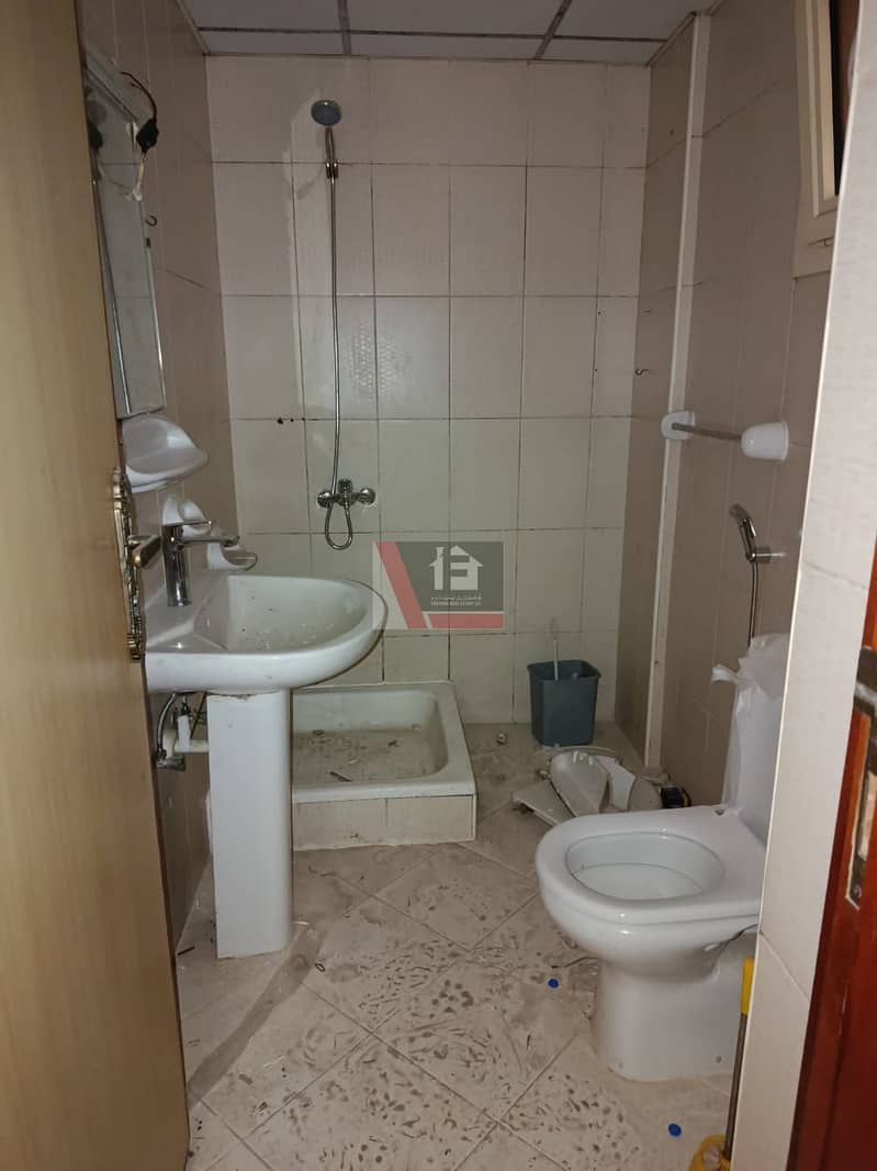 3 1000876265. jpg