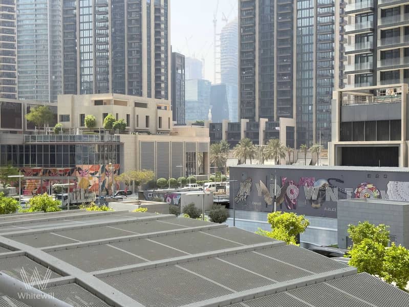 11 IMG_5517. jpg