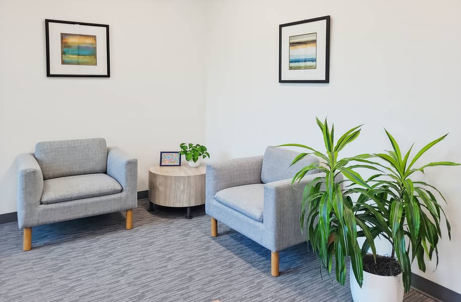 4 Regus_CA, Novato - Bel Marin Keys Blvd_USA_Centre 7593_Business Lounge. jpg