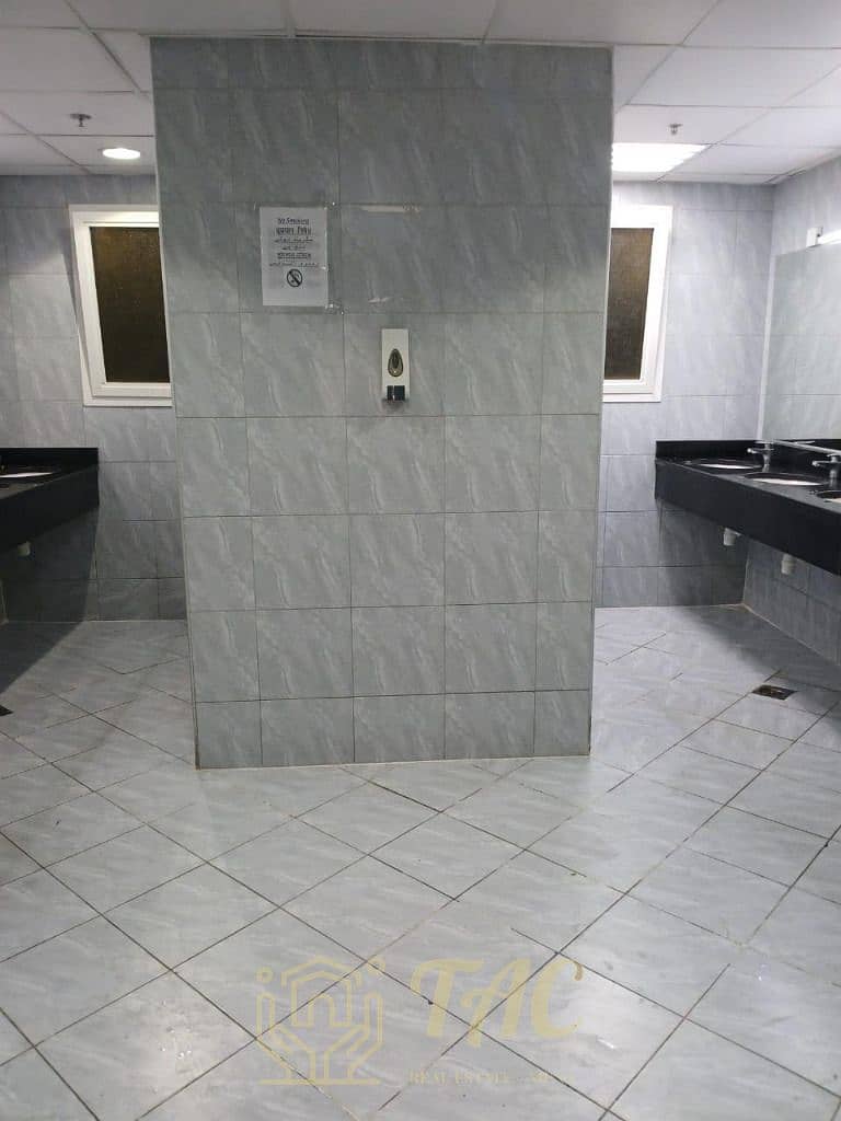 7 aiease_1770377106786. jpg