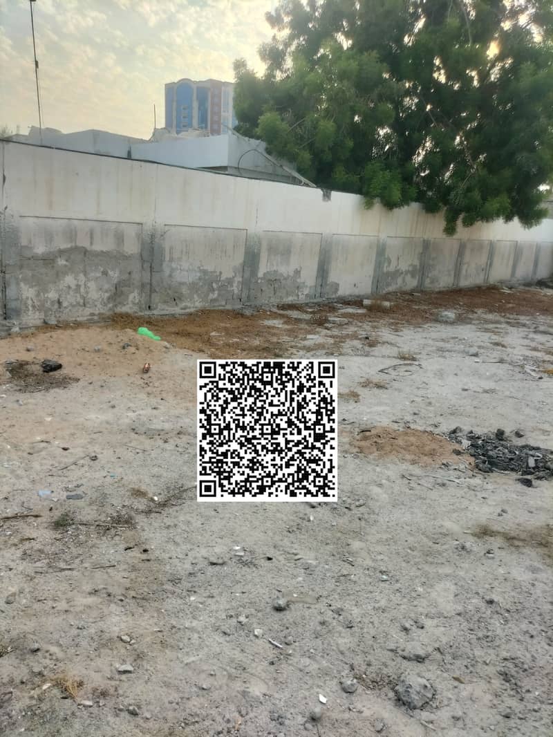 2 1000313990. jpg