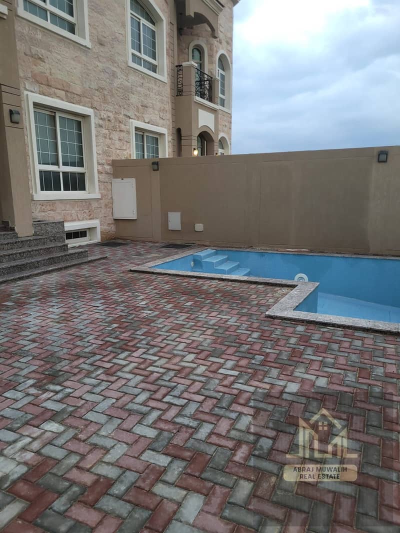 2 365104. jpg