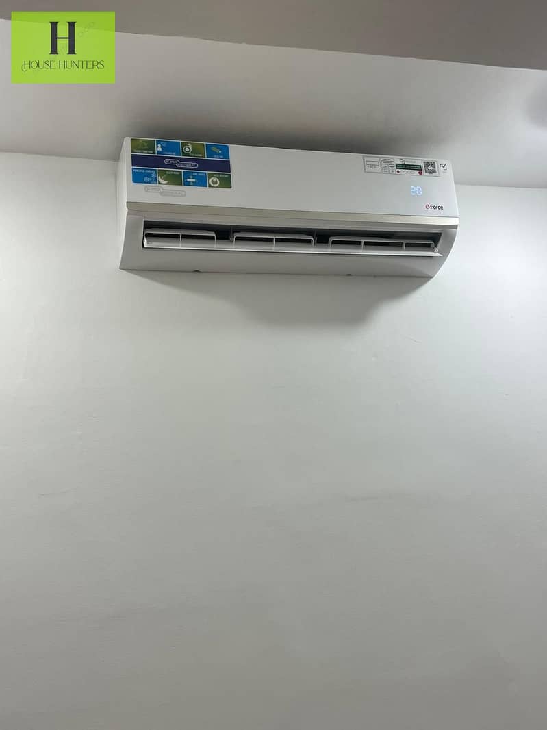 19 1000338539. jpg