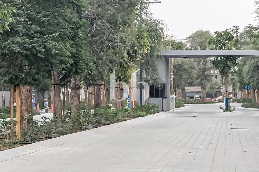 21 Robinia 2 Br 1 Jpg