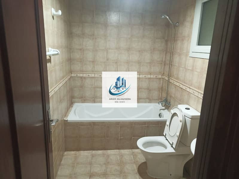 8 164749. jpg