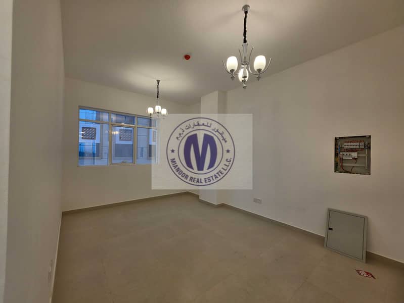 5 135895. jpg