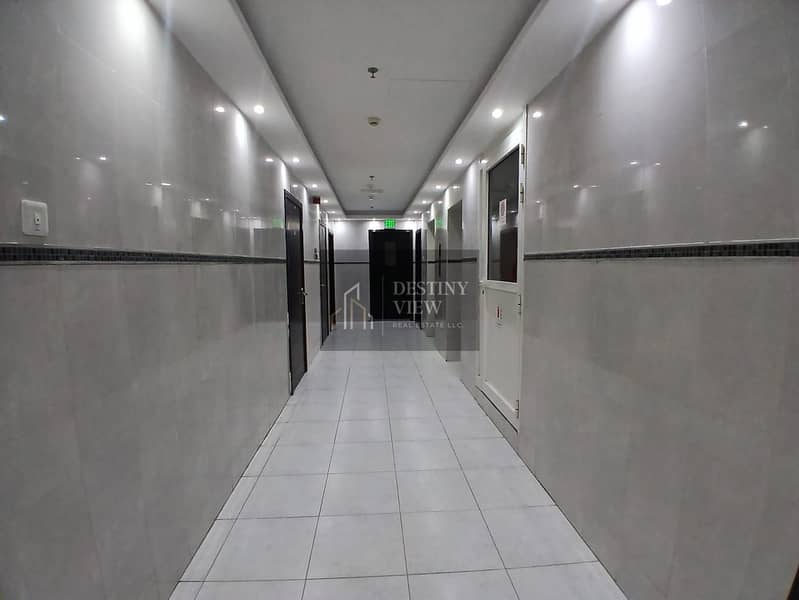 4 171579. jpg