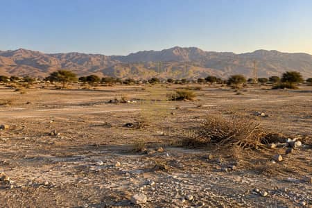 Plot for Sale in Rak City, Ras Al Khaimah - a46c68e4-39cb-4f0d-bbd2-27bae3e949c2. png Plot for Sale in Rak City, Ras Al Khaimah - a46c68e4-39cb-4f0d-bbd2-27bae3e949c2. png