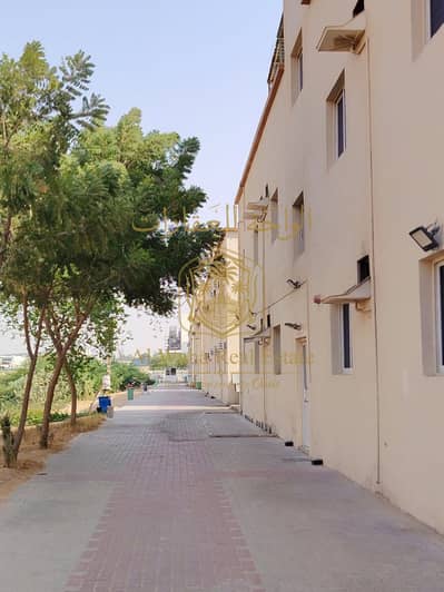 Labour Camp for Rent in Umm Al Thuoob, Umm Al Quwain - WhatsApp Image 2026-09-25 at 3.21. 26 PM. jpeg Labour Camp for Rent in Umm Al Thuoob, Umm Al Quwain - WhatsApp Image 2026-09-25 at 3.21. 26 PM. jpeg