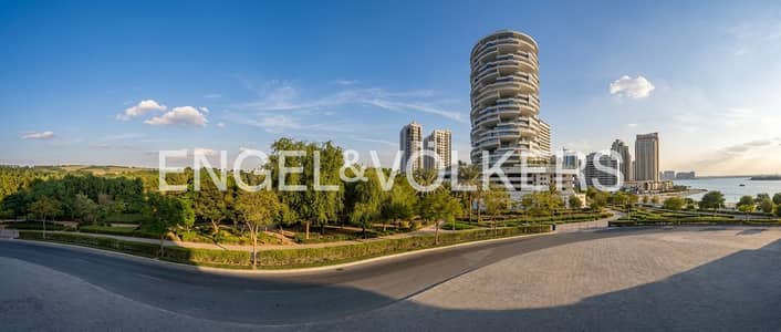 Shop for Rent in Jumeirah Village Circle (JVC), Dubai - High-Visibility | Main Road | Ground-Floor Shop for Rent in Jumeirah Village Circle (JVC), Dubai - High-Visibility | Main Road | Ground-Floor