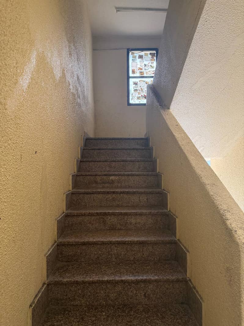 3 1000459894. jpg