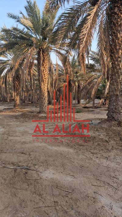 Other Commercial para en Venta en Al Dhafrah, Abu Dhabi - WhatsApp Image 2026-09-21 at 10.27. 20 AM (2). jpeg Other Commercial para en Venta en Al Dhafrah, Abu Dhabi - WhatsApp Image 2026-09-21 at 10.27. 20 AM (2). jpeg