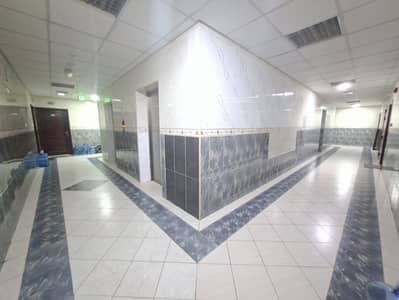 2 habitaciones Apartamento para en Alquiler en Muwaileh Commercial, Sharjah - 78046875-0dc5-4074-9dcc-2ed67bf850a9. jpeg