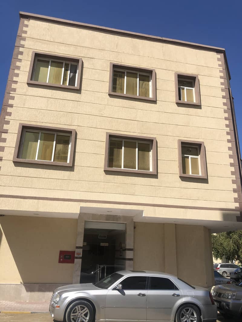Brand New Building! No Deposit! Spacious 1BR Brand New Building! No Deposit! Spacious 1BR