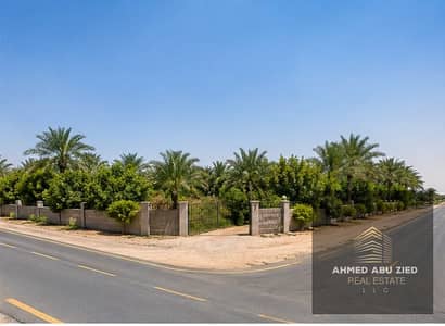 Plot in vendita a Al Helio, Ajman - WhatsApp Image 2026-09-27 at 1.37. 21 PM. jpeg Plot in vendita a Al Helio, Ajman - WhatsApp Image 2026-09-27 at 1.37. 21 PM. jpeg