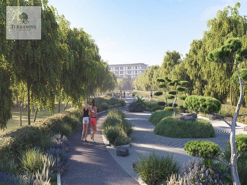 6 zen garden . jpg