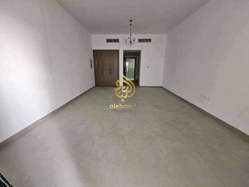 3 75173. jpg