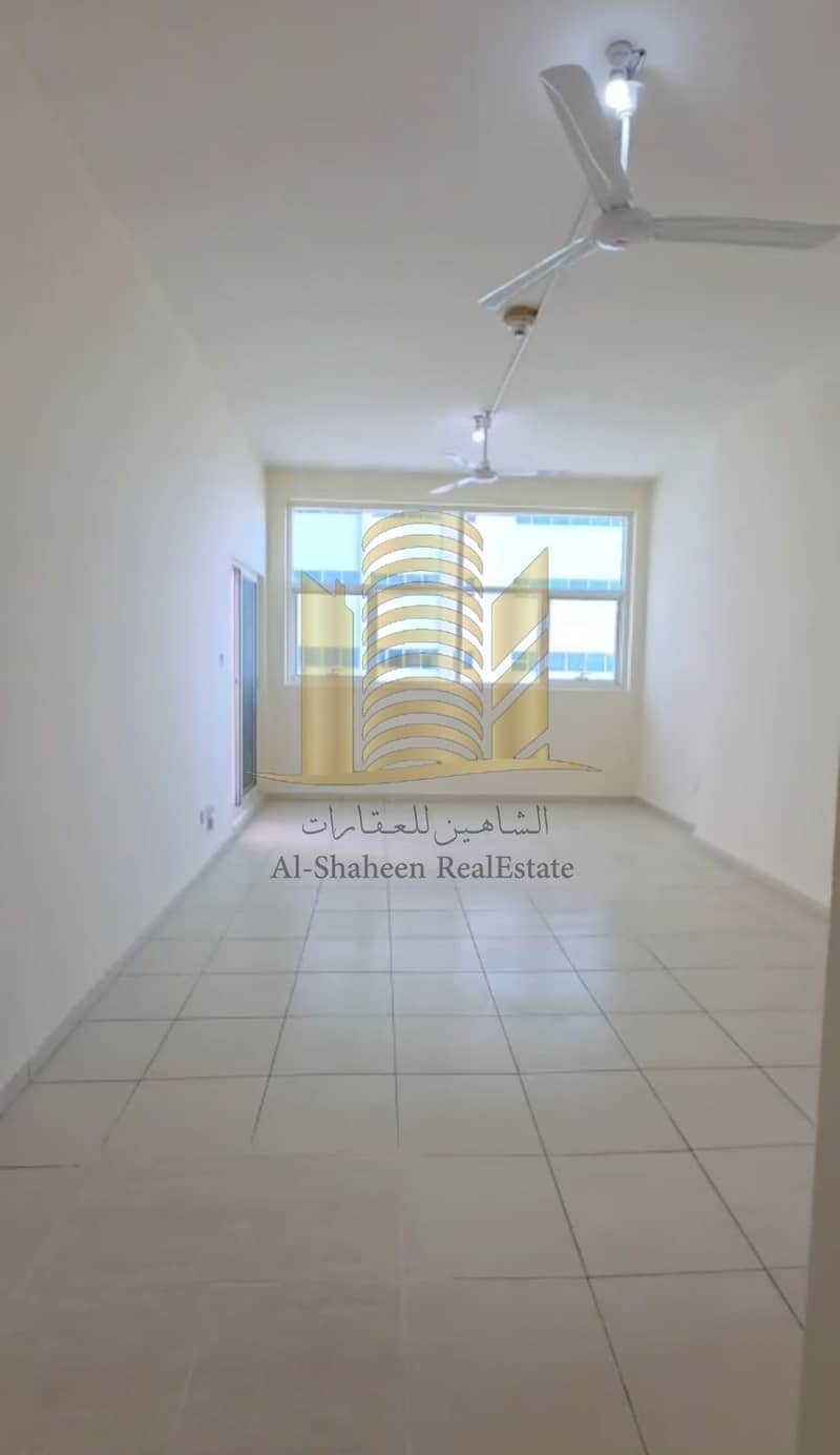 5 1000092424. jpg