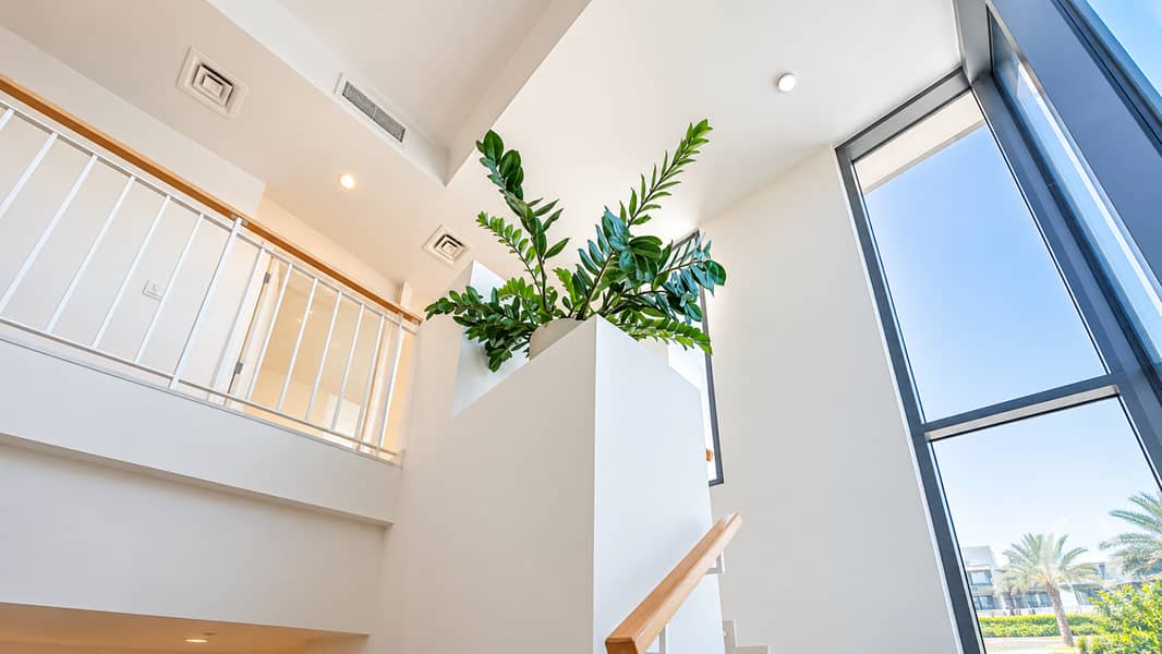 10 Image 10