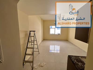 Studio te Huur in Al Hamidiyah, Ajman - WhatsApp Image 2026-09-28 at 11.39. 34 AM. jpeg Studio te Huur in Al Hamidiyah, Ajman - WhatsApp Image 2026-09-28 at 11.39. 34 AM. jpeg