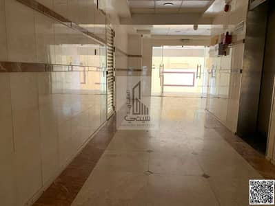 3 Camere Appartamento in affitto a Al Nuaimiya, Ajman - WhatsApp Image 2026-09-28 at 11.30. 48 AM. jpeg
