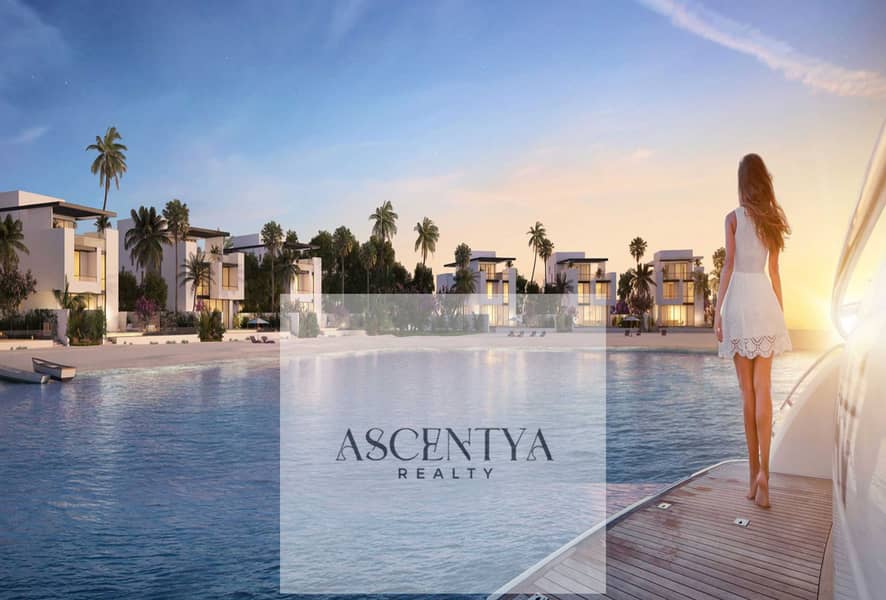 5 4. jpg
