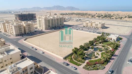 Mixed Use Land in vendita a Al Alia, Ajman - Gemini_Generated_Image_8f4wwv8f4wwv8f4w. jpg