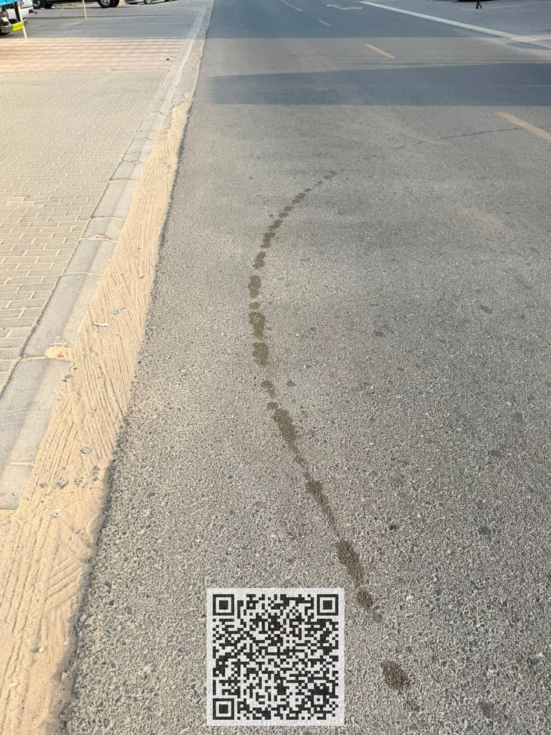 2 WhatsApp Image 2026-08-18 at 17.11. 46 (1). jpeg