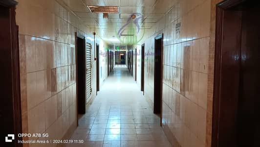 Labour Camp for Rent in Industrial Area, Sharjah - apartment-for-rent-62-bedroom-alsnaayh-6-alsharqh-property-03. jpg Labour Camp for Rent in Industrial Area, Sharjah - apartment-for-rent-62-bedroom-alsnaayh-6-alsharqh-property-03. jpg