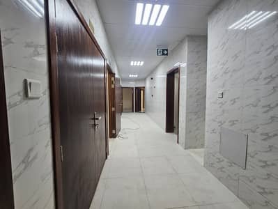 2 Schlafzimmer Wohnung zum Miete in Al Zahia, Sharjah - 62751. jpg 2 Schlafzimmer Wohnung zum Miete in Al Zahia, Sharjah - 62751. jpg