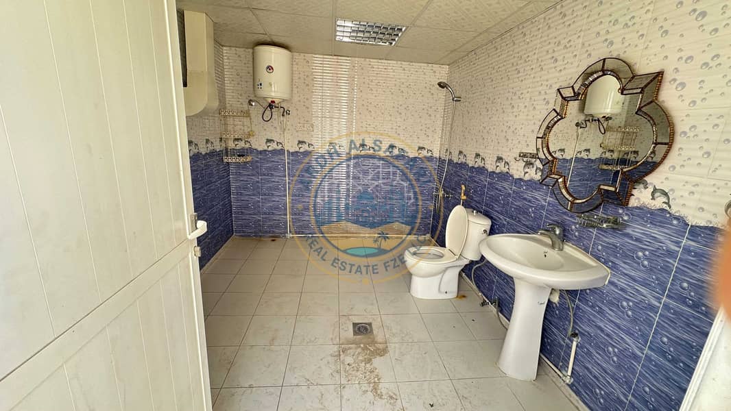 7 15872. jpg