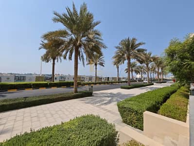 2 Camere Appartamento in affitto a Al Khan, Sharjah - WhatsApp Image 2026-09-29 at 3.51. 24 PM. jpeg 2 Camere Appartamento in affitto a Al Khan, Sharjah - WhatsApp Image 2026-09-29 at 3.51. 24 PM. jpeg