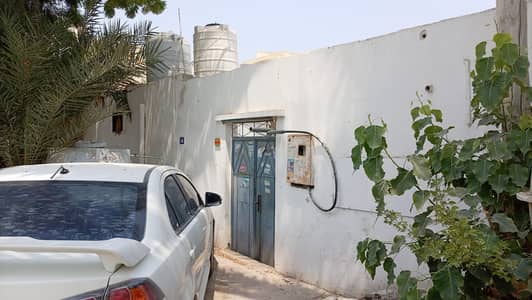 5 Bedroom Villa for Sale in Liwara 1, Ajman - WhatsApp Image 2026-09-29 at 6.15. 20 PM (3). jpeg