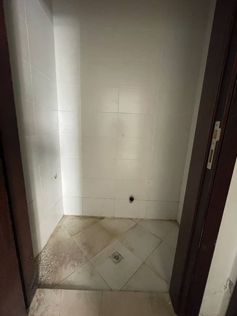 3 3668. jpg
