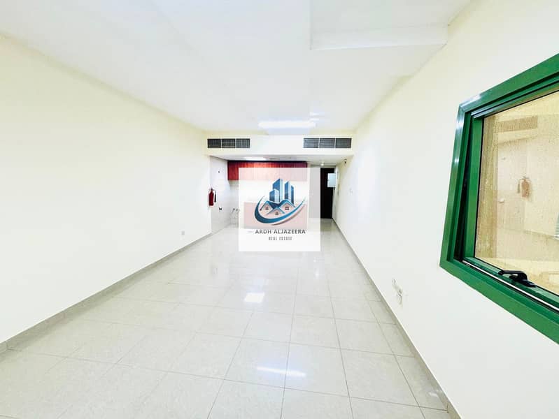 5 20109. jpg