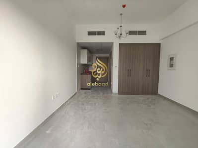 Studio de à à louer à International City Phase 2 (Warsan 4), Dubai - 72551. jpg Studio de à à louer à International City Phase 2 (Warsan 4), Dubai - 72551. jpg