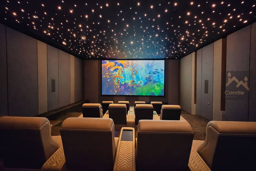 12 cinema. jpg