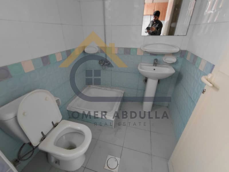 8 242804. jpg