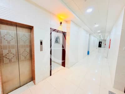 2 Camere Appartamento in affitto a Asharij, Al Ain - WhatsApp Image 2026-07-13 at 12.42. 35 AM (1). jpeg 2 Camere Appartamento in affitto a Asharij, Al Ain - WhatsApp Image 2026-07-13 at 12.42. 35 AM (1). jpeg