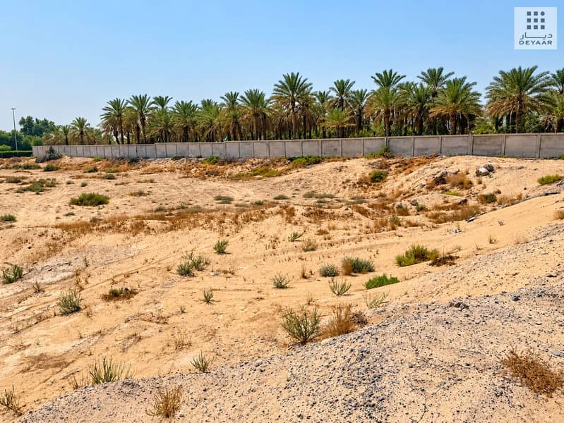 2 05_Land_Palm_Surroundings. jpg
