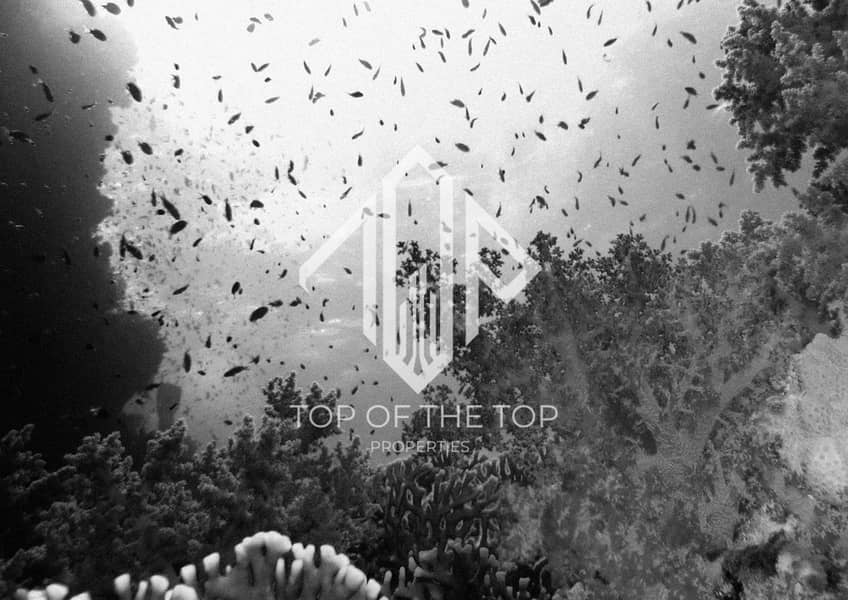 8 image_7