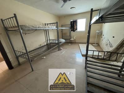 2 Slaapkamers Appartement te Huur in Al Jurf, Ajman - WhatsApp Image 2026-10-01 at 1.42. 32 PM (1). jpeg 2 Slaapkamers Appartement te Huur in Al Jurf, Ajman - WhatsApp Image 2026-10-01 at 1.42. 32 PM (1). jpeg