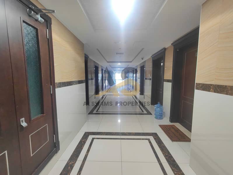 10 1000253095. jpg