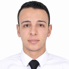 Moustafa Mahmoud Bazid Hussein