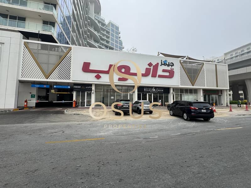 12 image_11