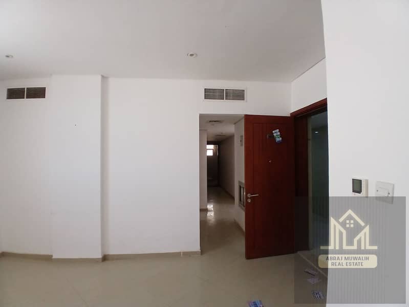 3 146743. jpg