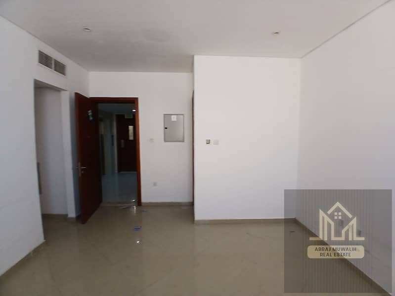 5 146741. jpg